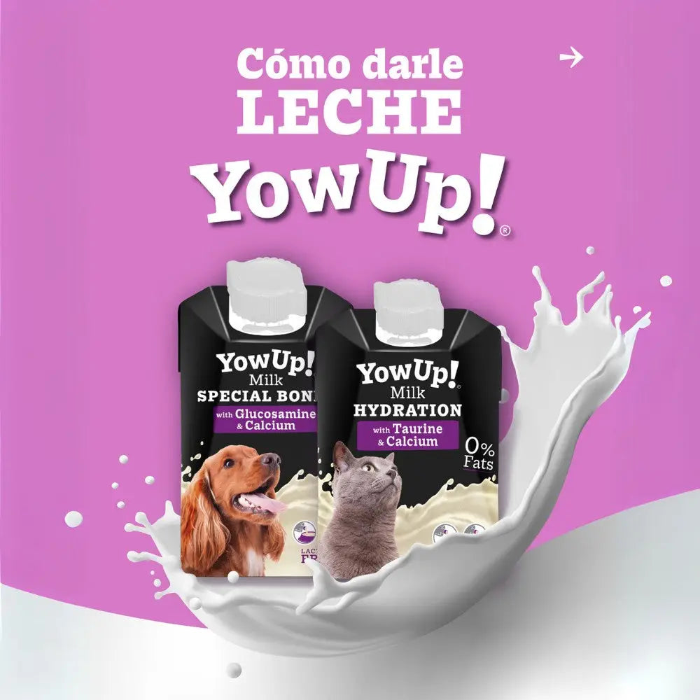 Leche para Perros 250 ml YowUp! YOWUP