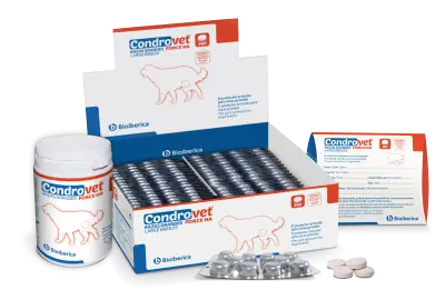 Condrovet Force Ha Perro Razas Grandes 80Udes(Articulaciones) - Mejor Precio - Mascotas Ávila