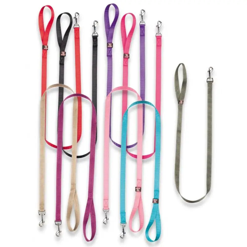 Correa Basic - Mejor Precio - Mascotas Ávila