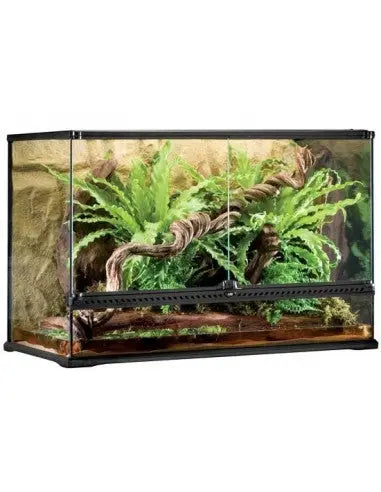 Exo Terra Terrario Gde.243 L Tall 90X45X60 Cm