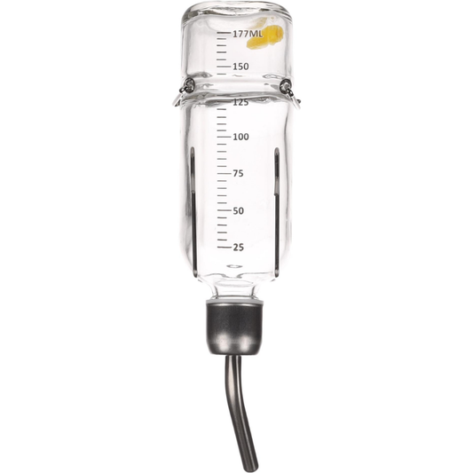 Flamingo Bebedero Vidrio Roedores Athina 177 ml FLAMINGO Mascotas-Ávila