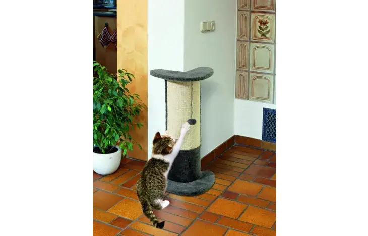 Flamingo Rascador Esquina 29X21X71Cm Gris - Mejor Precio - Mascotas Ávila