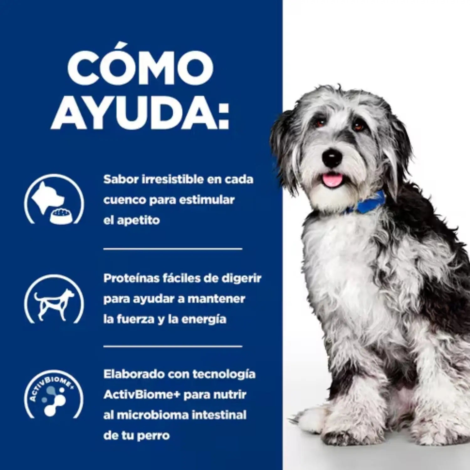 Hill's Prescription Diet Pienso ON-Care Pollo para Perros - Mejor Precio - Mascotas Ávila