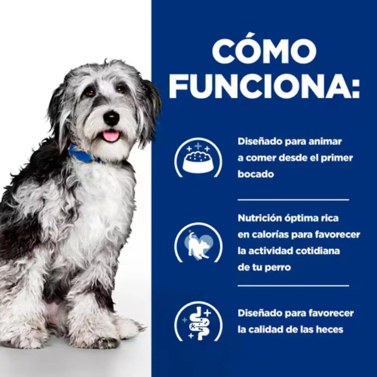 Hill's Prescription Diet Pienso ON-Care Pollo para Perros - Mejor Precio - Mascotas Ávila