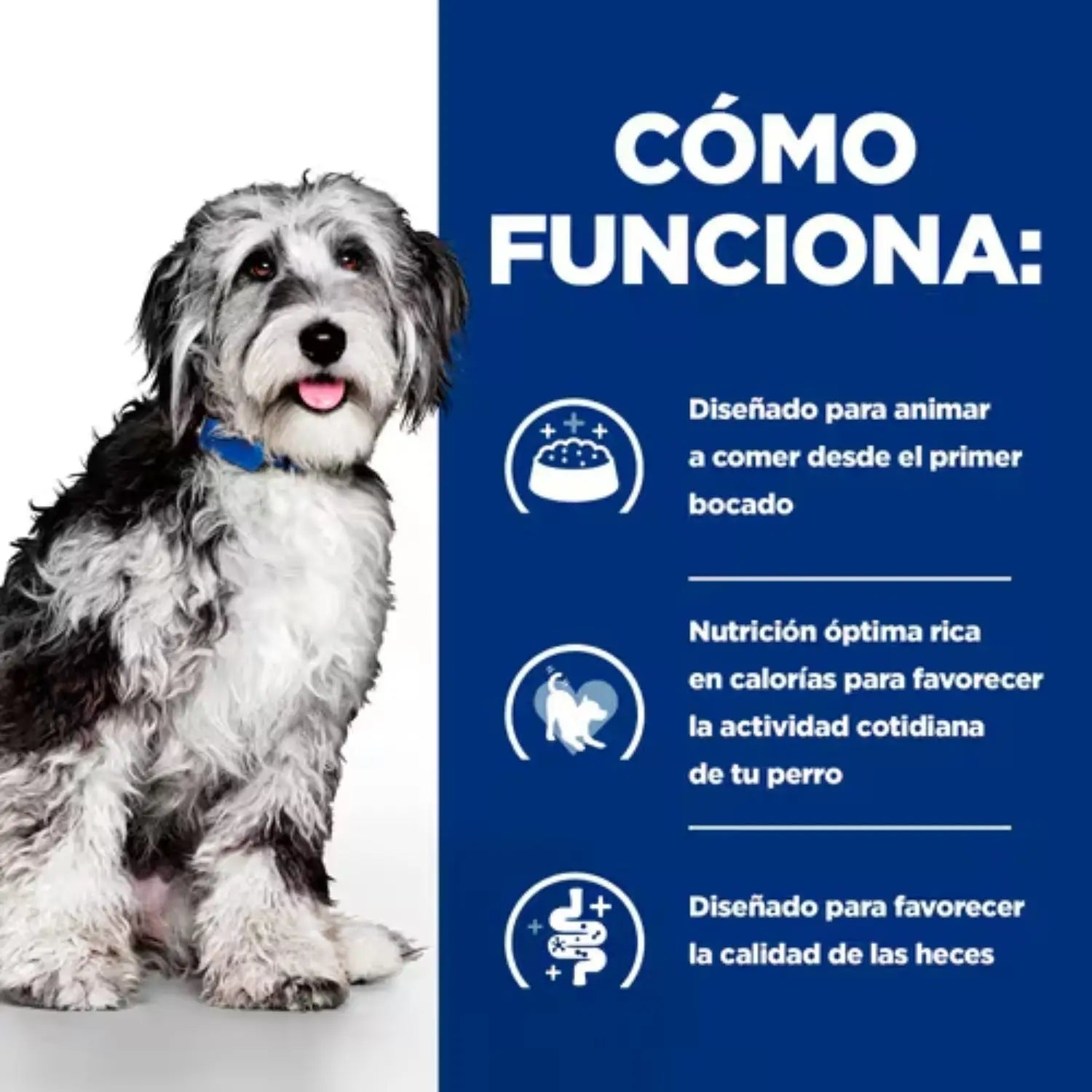 Hill's Prescription Diet Pienso ON-Care Pollo para Perros - Mejor Precio - Mascotas Ávila