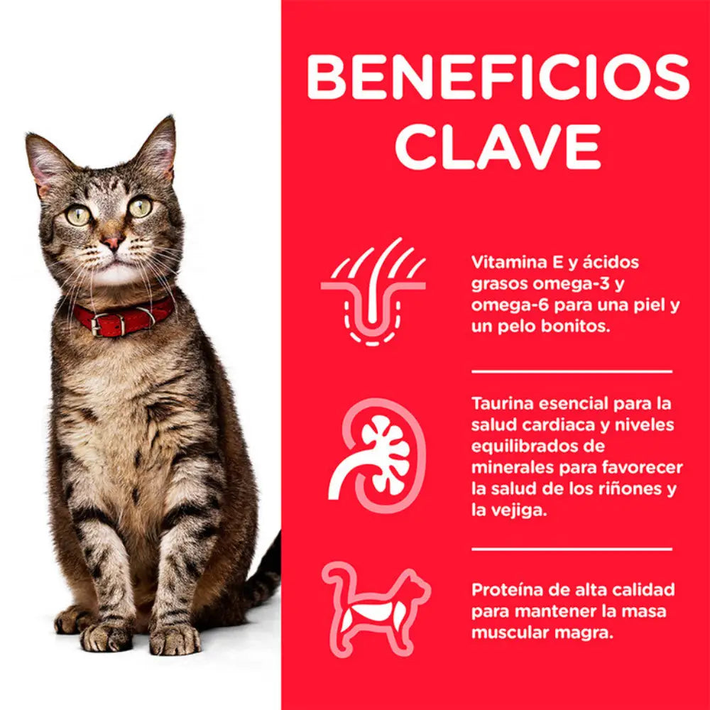 Hill'S Science Plan Adult Ternera 85 g Sobre Alimento para Gatos HILLS