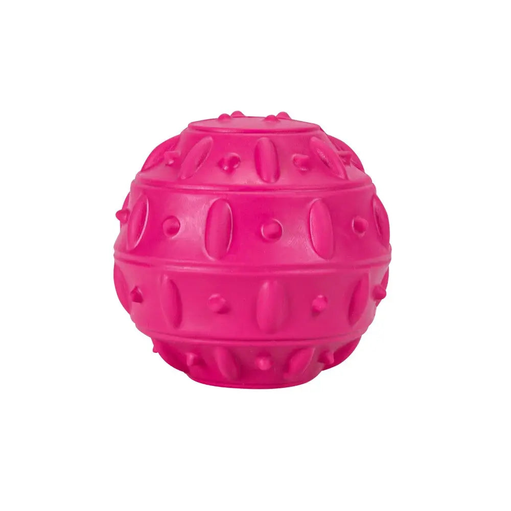 Juguete Perro Pelota Snack Teak - Mejor Precio - Mascotas Ávila