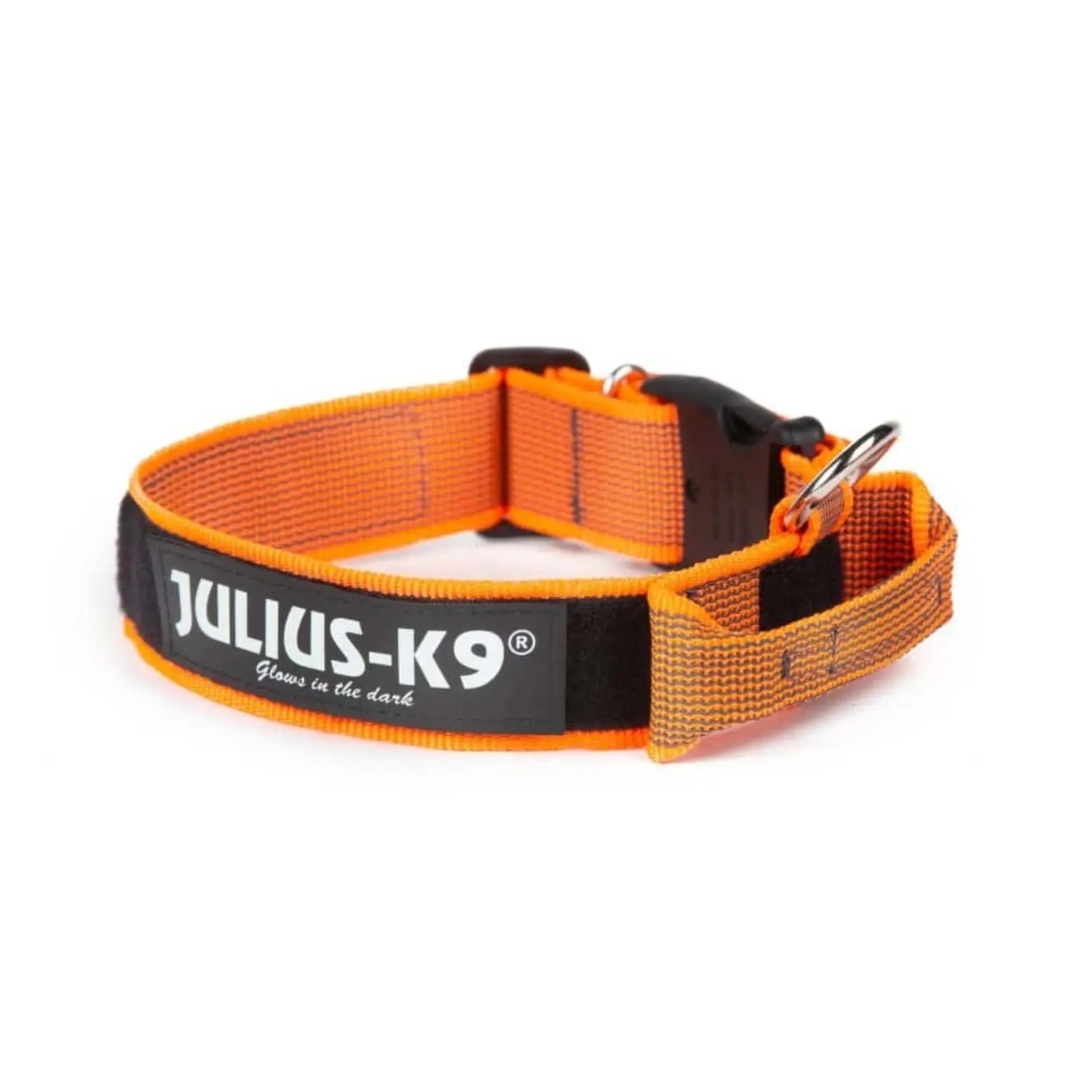 Julius Collar con Asa para Perros JULIUS