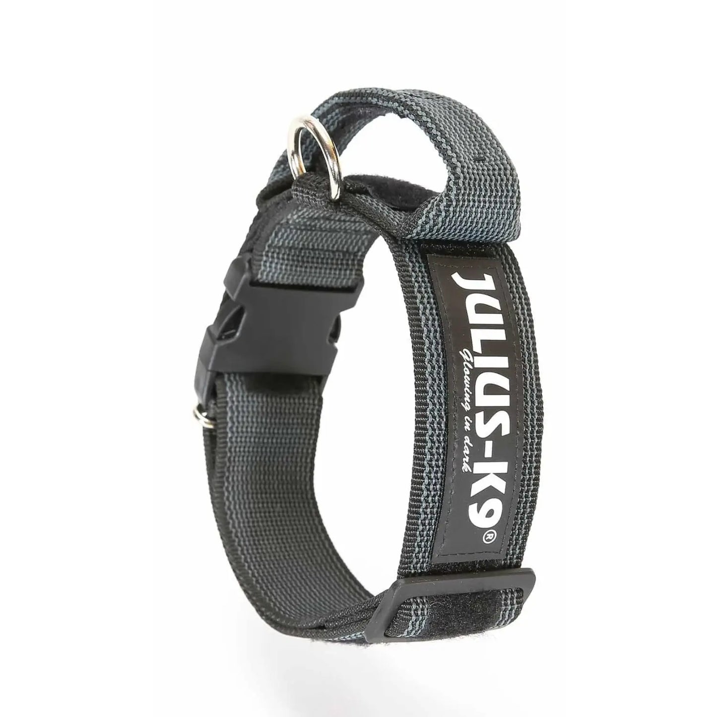 Julius Collar con Asa para Perros JULIUS
