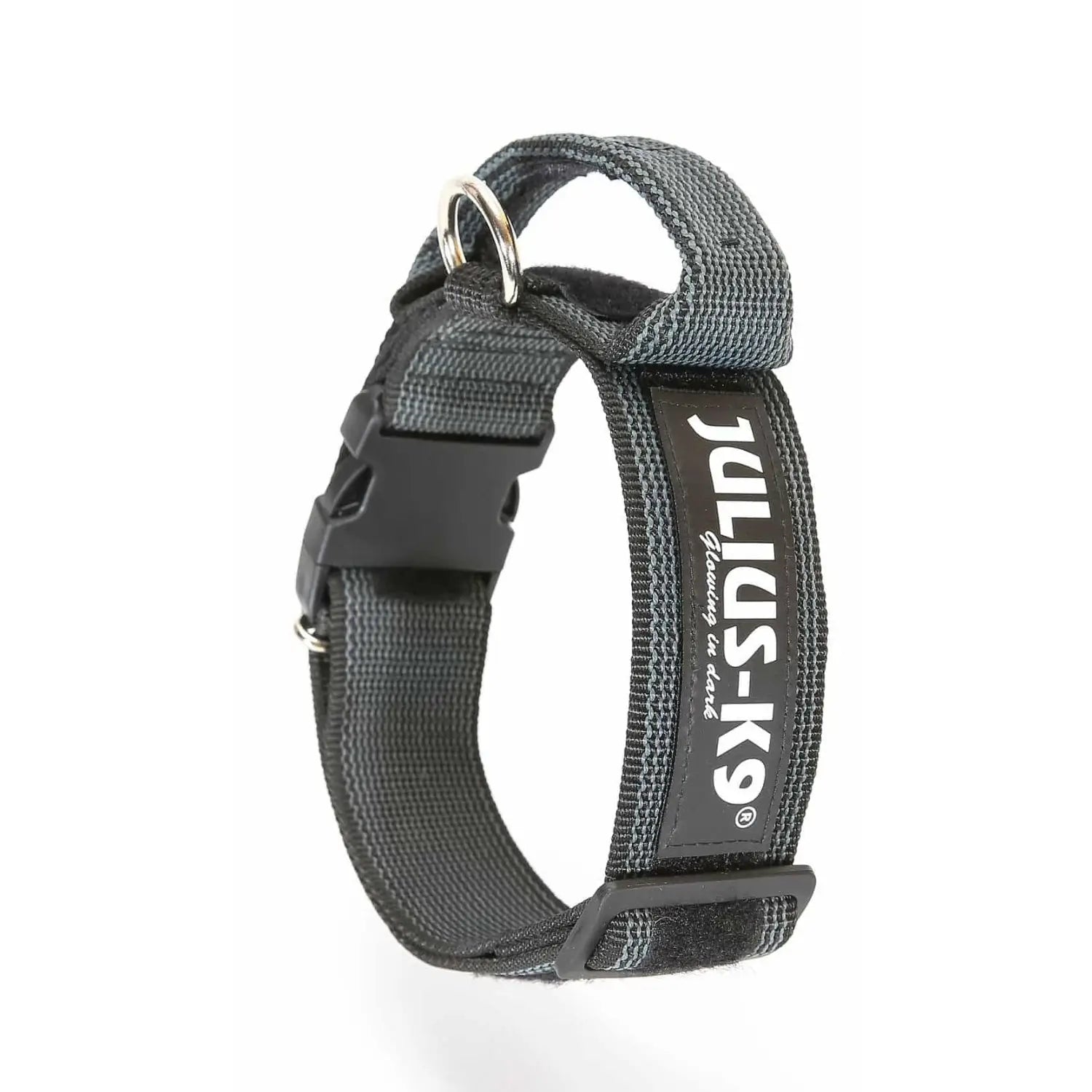 Julius Collar con Asa para Perros JULIUS