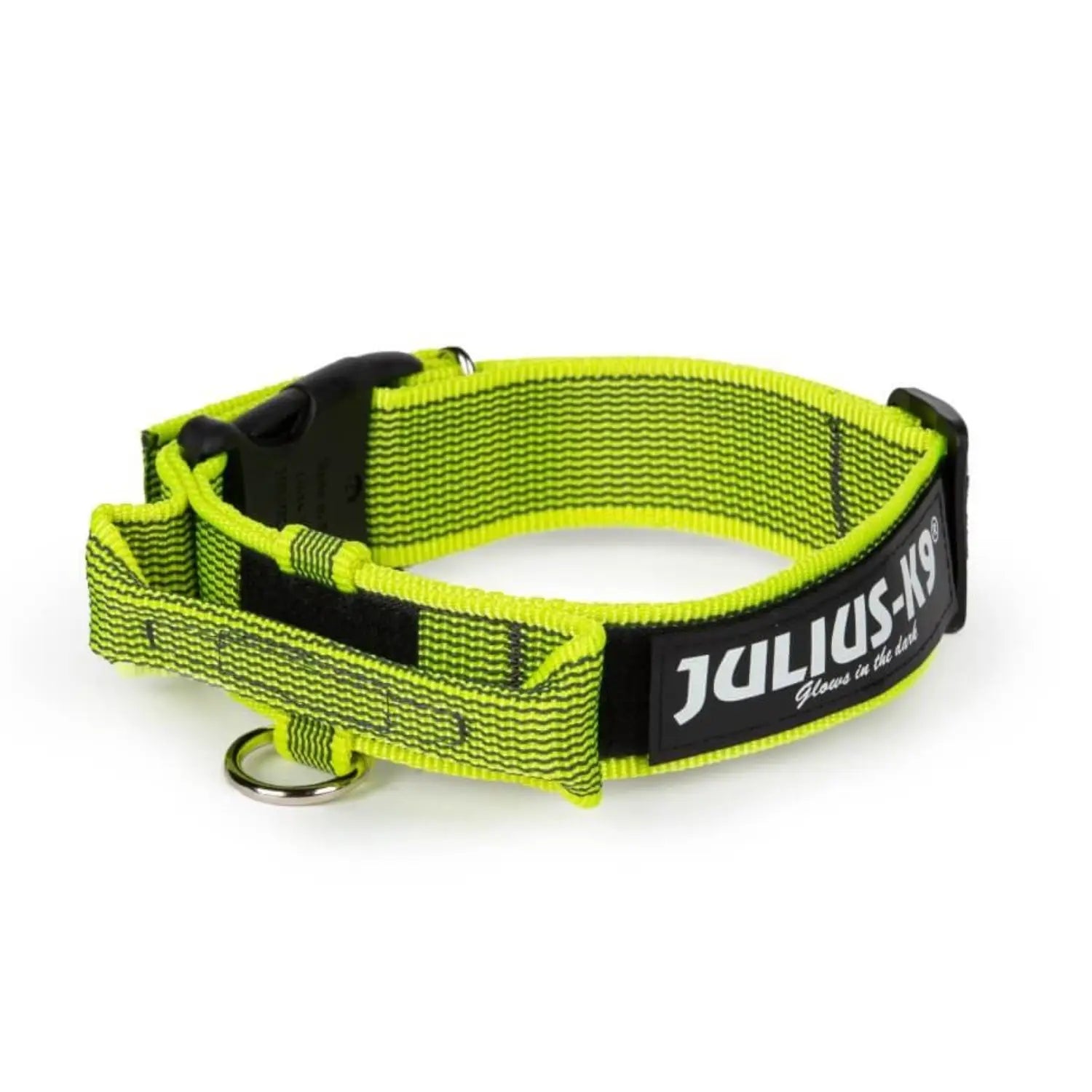 Julius Collar con Asa para Perros JULIUS