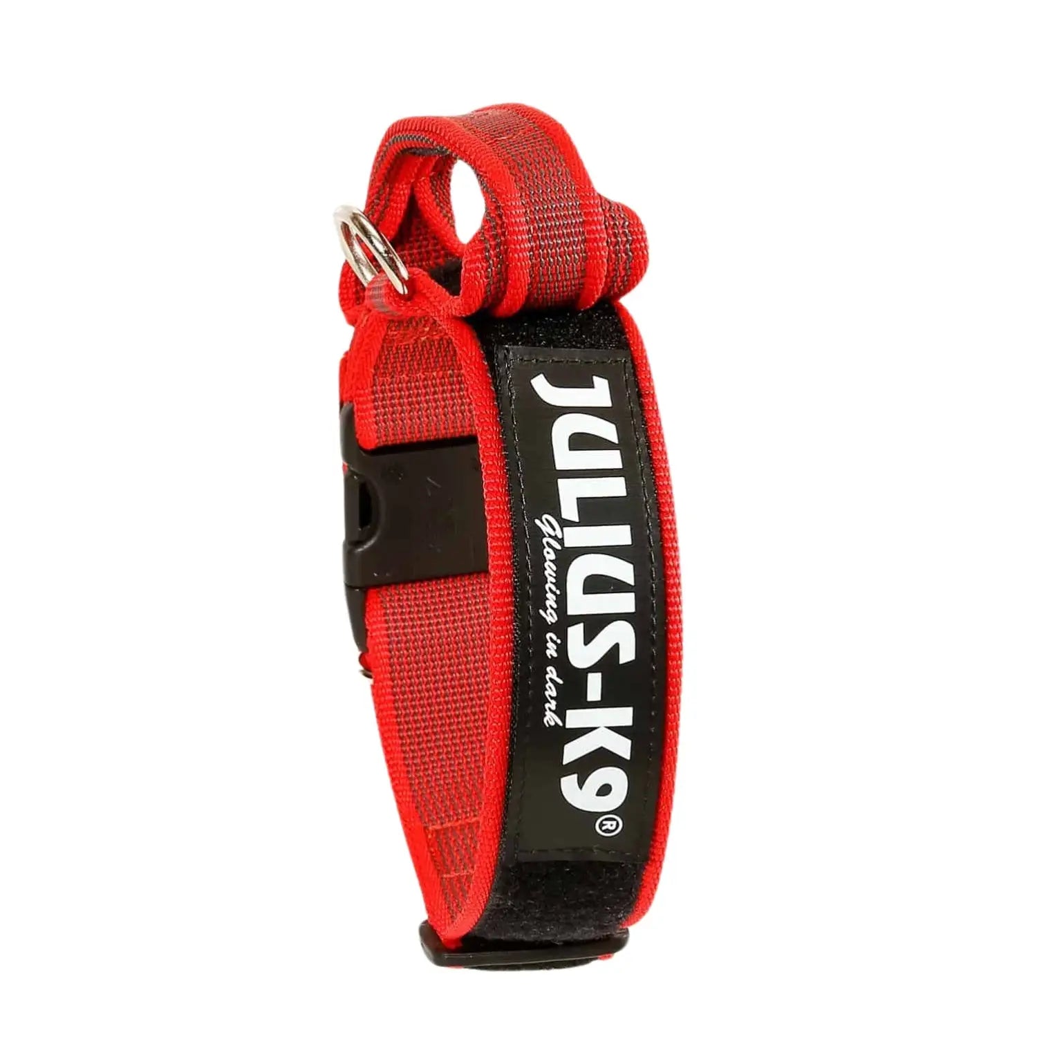 Julius Collar con Asa para Perros JULIUS
