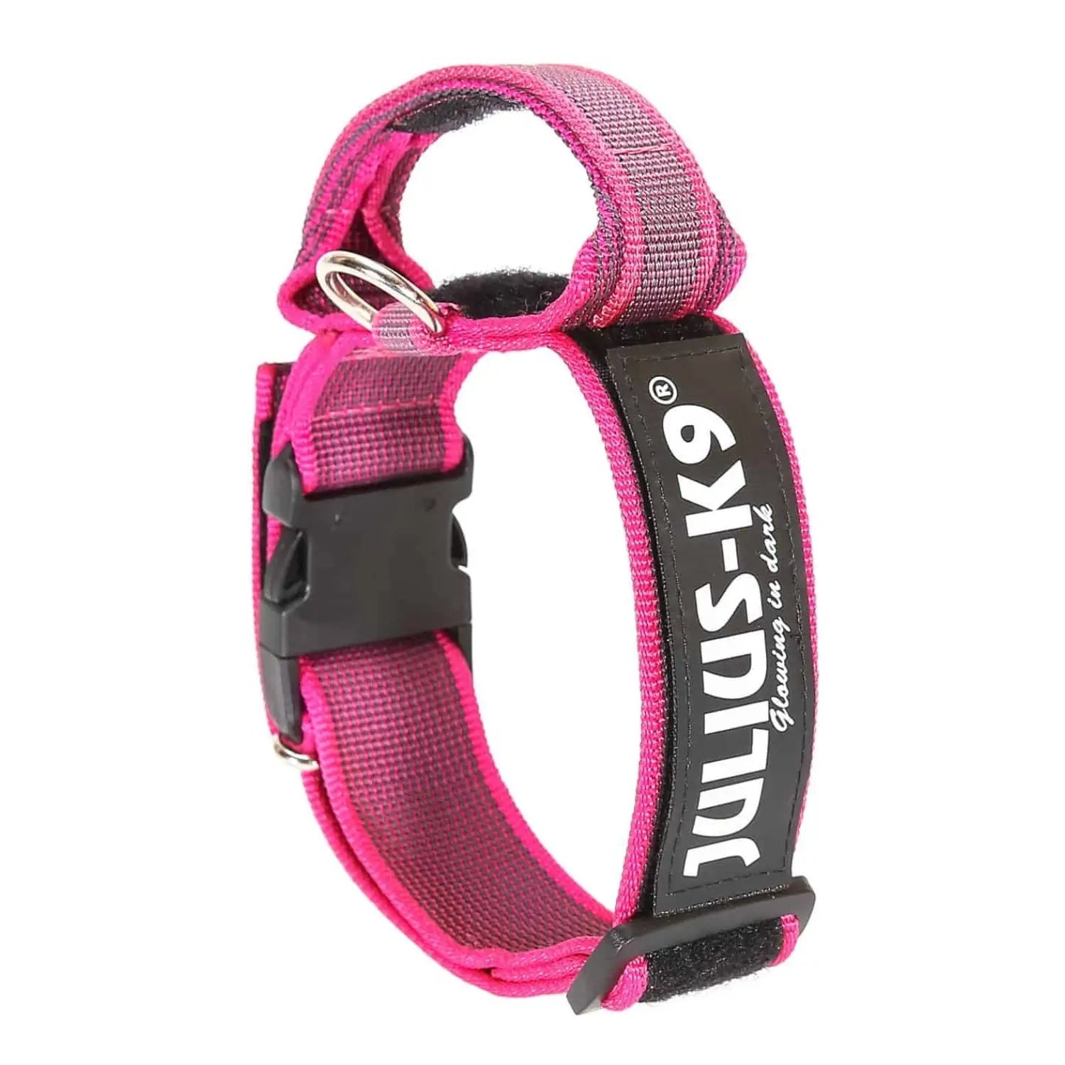 Julius Collar con Asa para Perros JULIUS