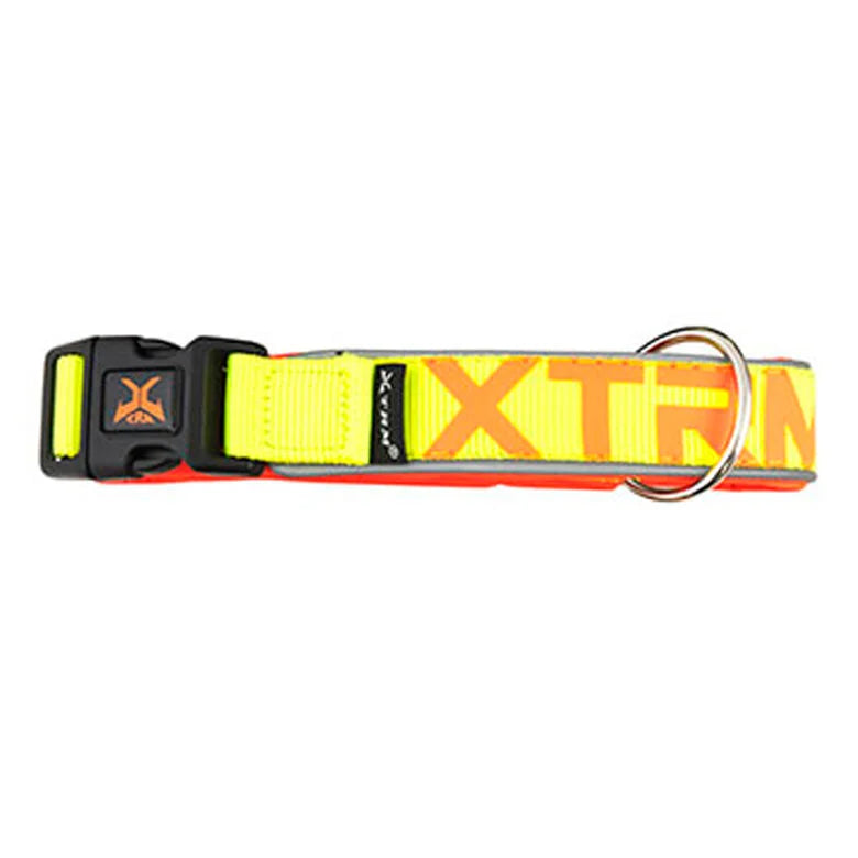 Collar X-Trm Neon Flash