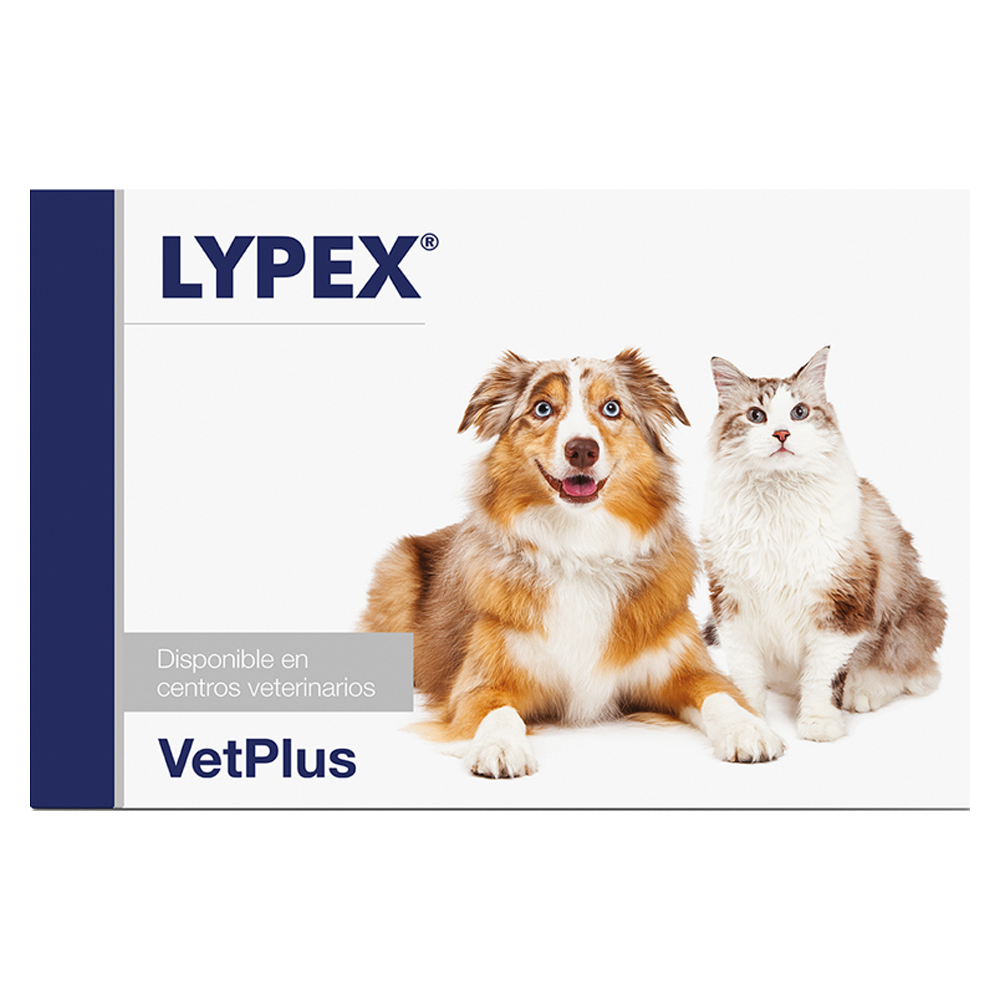 Lypex 60 uds Vet Plus VETPLUS Mascotas-Ávila
