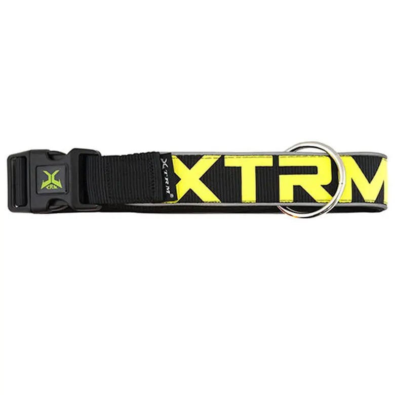 Collar X-Trm Neon Flash - Mejor Precio - Mascotas Ávila