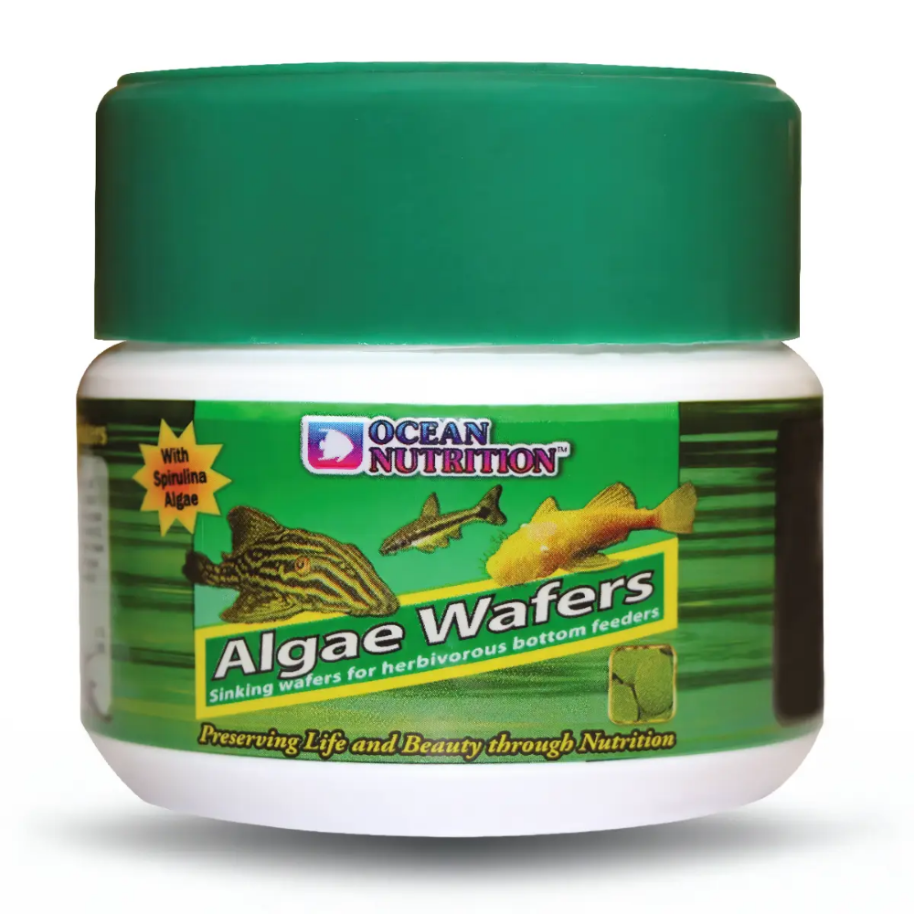 Ocean Nutrition Algae Wafers 75 g OCEAN NUTRITION Mascotas-Ávila