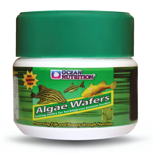 Ocean Nutrition Algae Wafers 75 g OCEAN NUTRITION Mascotas-Ávila