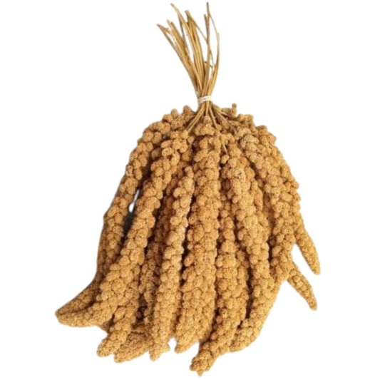 Panizo En Espigas kg PILESAN Mascotas-Ávila