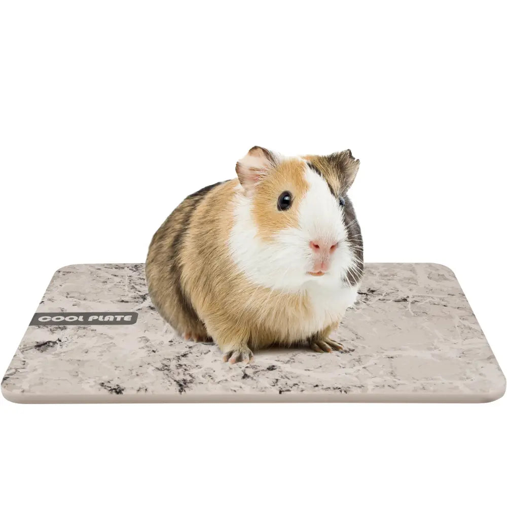 Piedra Refrigerante Dolo Para Roedor Gris S 12X8X0,7 cm FLAMINGO