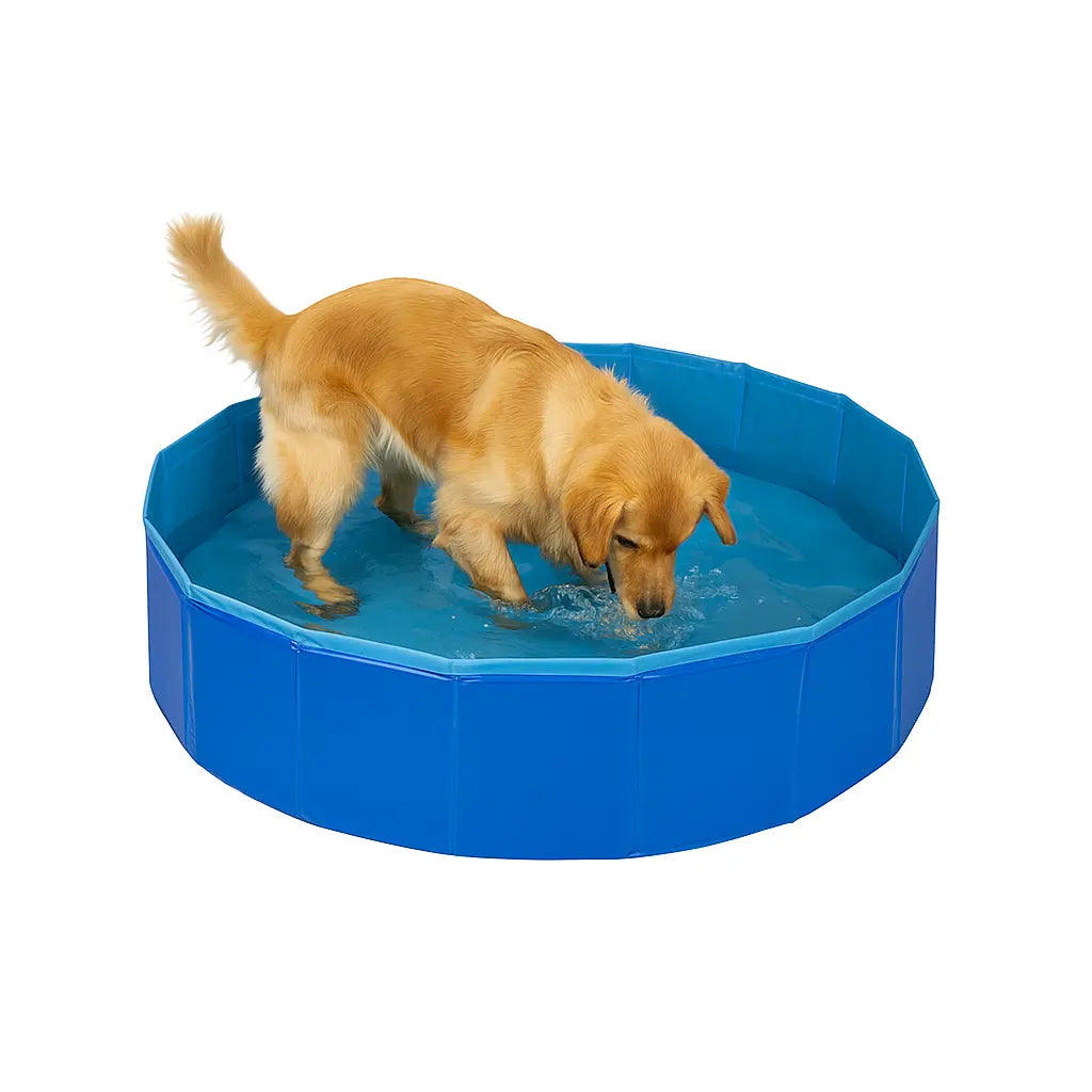 piscina para perros
