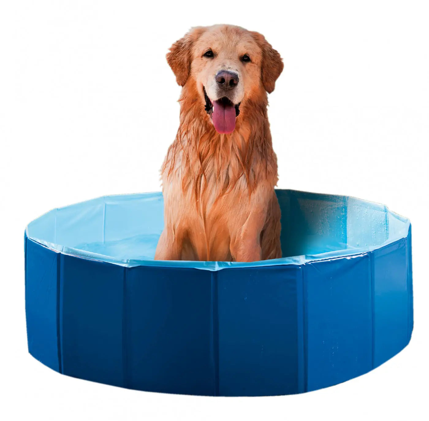 Piscina Para Perros 80Cm Wouapy - Mejor Precio - Mascotas Ávila