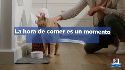 Hill'S Prescription Diet D/D Pato y Arroz - Pienso para Perros con Problemas en la Piel