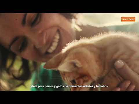 Nature'S Variety Cat No Grain Salmón Noruego