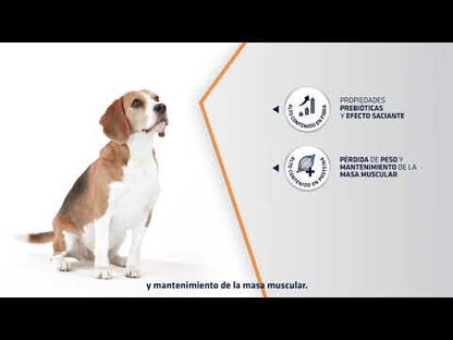 Advance Veterinary Diets Cat Weight Balance