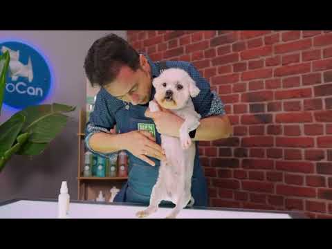 Menforsan Protector Solar Factor 50+ para Perros y Gatos 60 ml