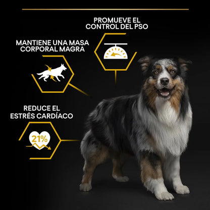 Pro Plan Dog AllSize Adult Light Sterilized Pollo 14kg - Mejor Precio - Mascotas Ávila