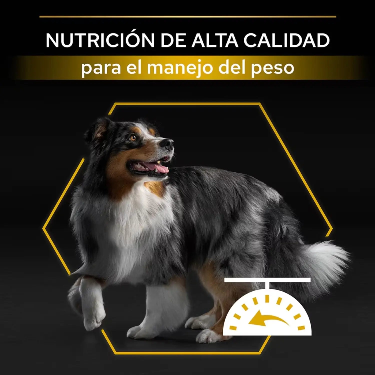 Pro Plan Dog AllSize Adult Light Sterilized Pollo 14kg - Mejor Precio - Mascotas Ávila
