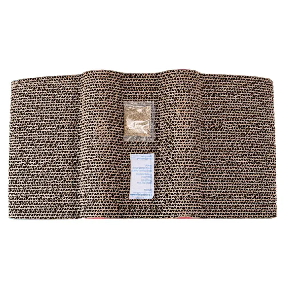 Rascador para Gatos Cartón Frog Catnip 45x24x9cm - Mejor Precio - Mascotas Ávila