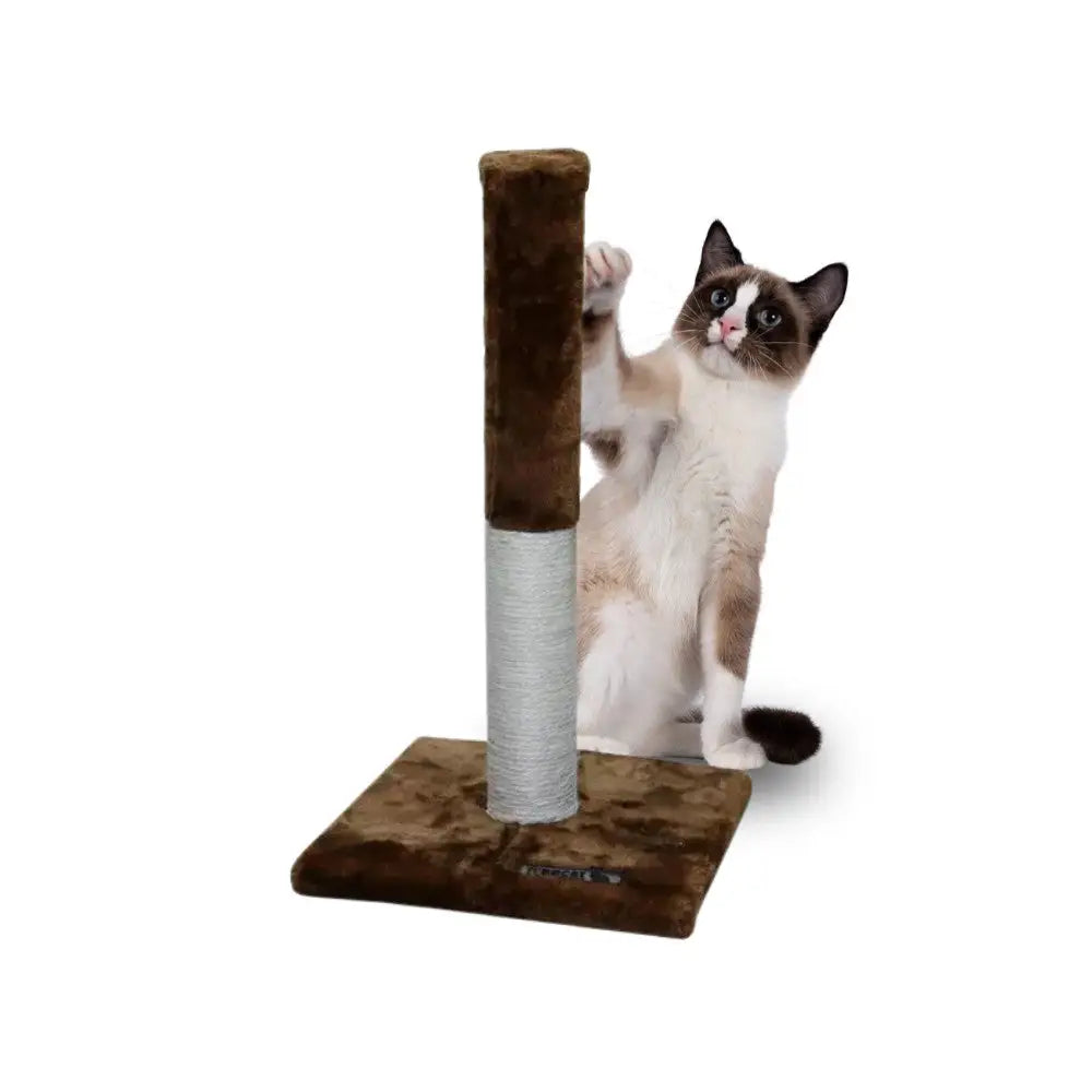 Rascador Poste para Gatos Freedog FREEDOG