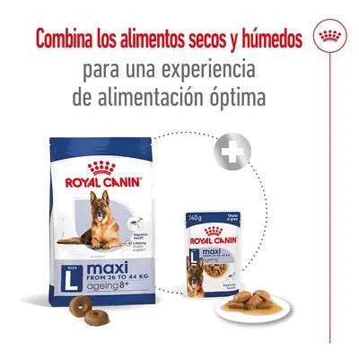 Royal Canin Maxi Ageing+8 15Kg - Mejor Precio - Mascotas Ávila