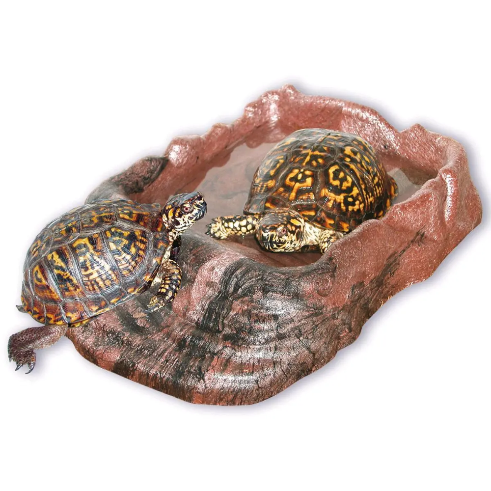 Repti Ramp Comedero/Bebedero ZOOMED Mascotas-Ávila