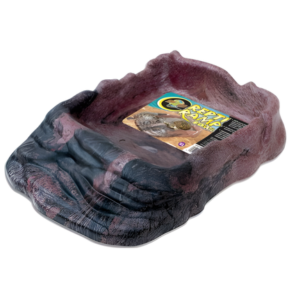 Repti Ramp Comedero/Bebedero ZOOMED Mascotas-Ávila