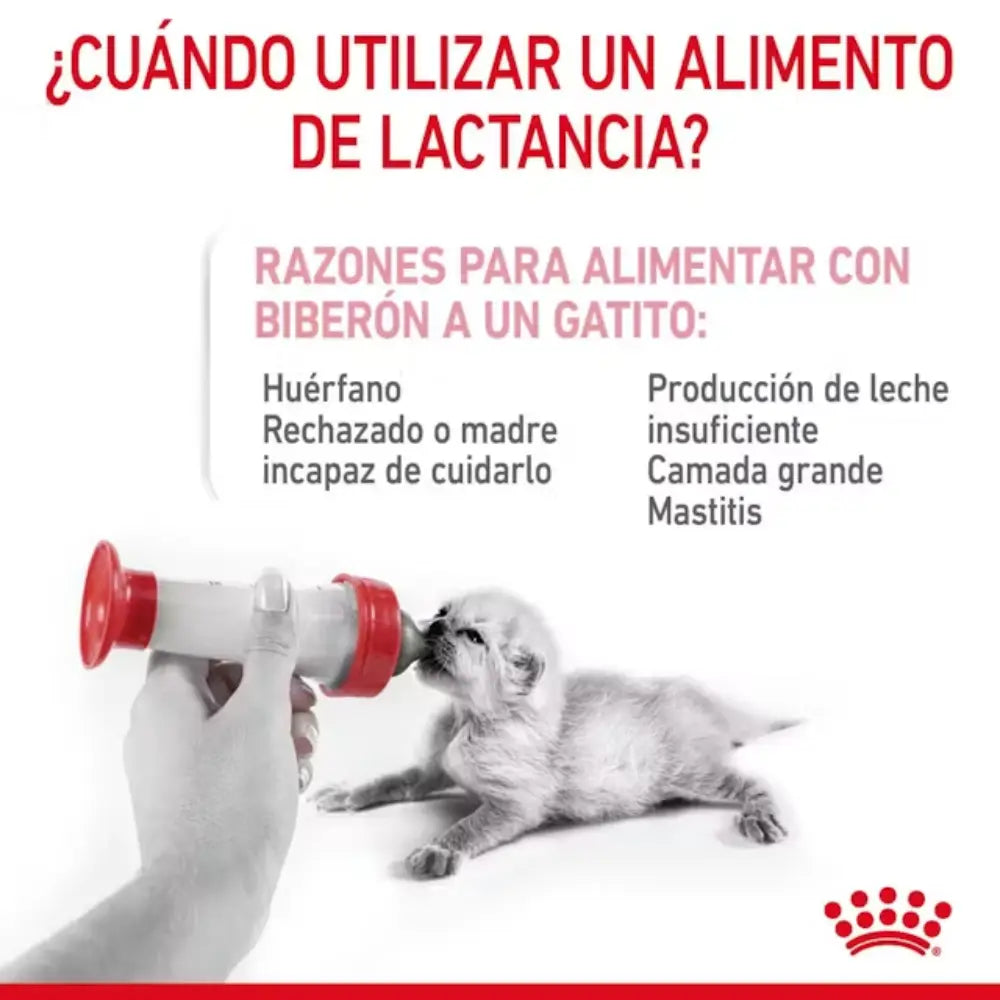 Royal Canin Babycat Milk 300 g ROYAL CANIN