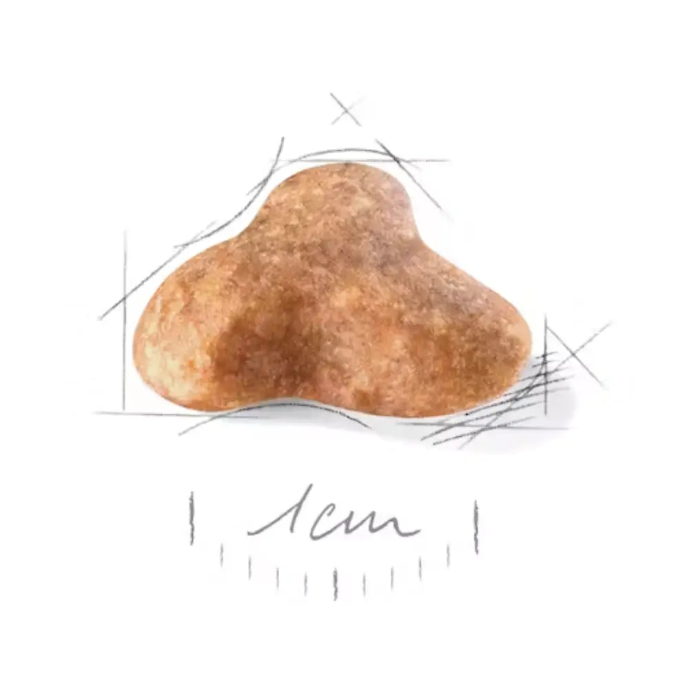 Royal Canin Carlino Pug 25 ROYAL CANIN