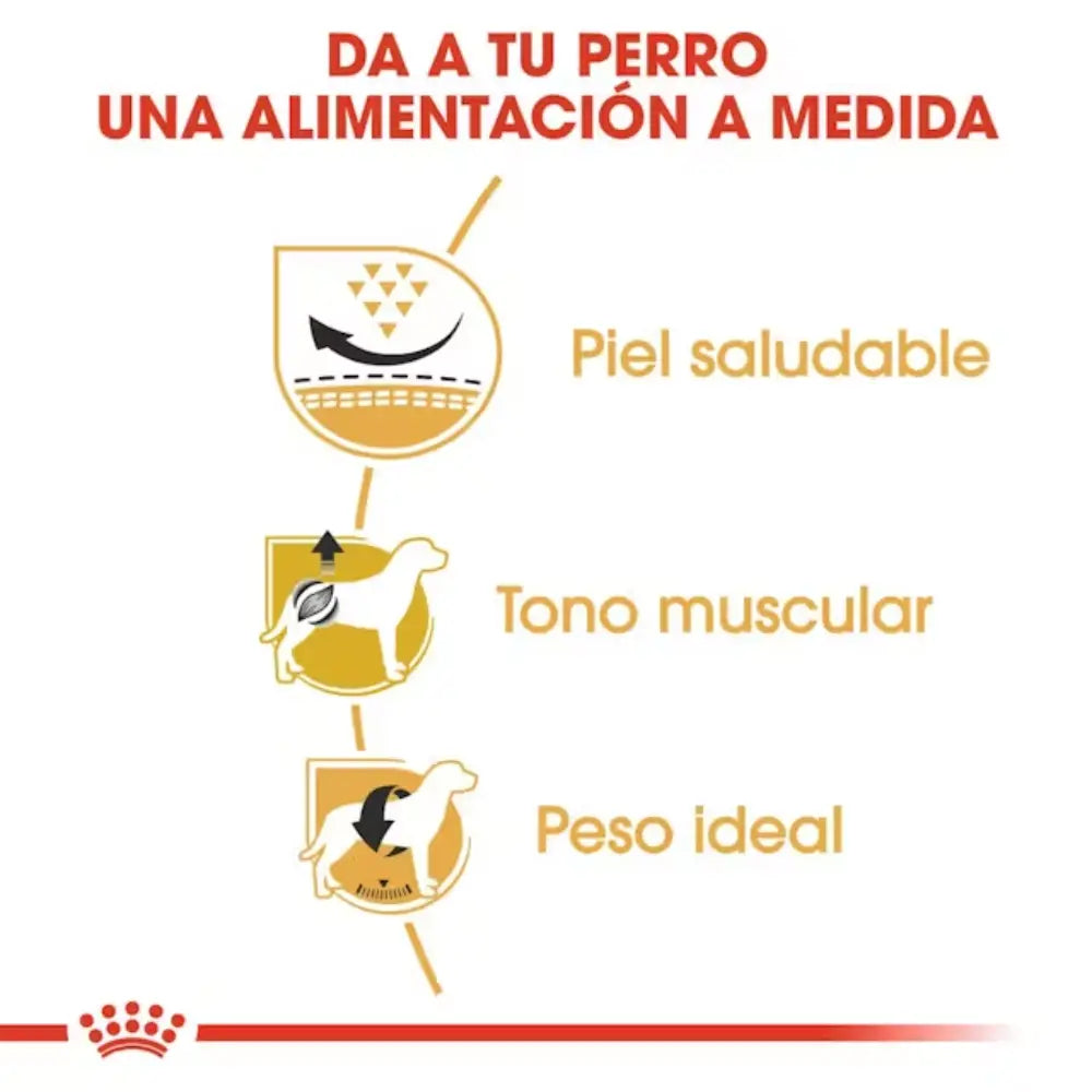 Royal Canin Carlino Pug 25 ROYAL CANIN