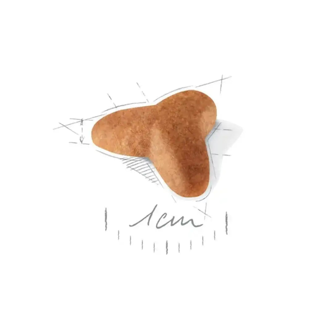 Royal Canin Carlino Pug Puppy 1,5 kg ROYAL CANIN