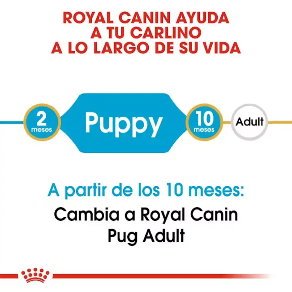 Royal Canin Carlino Pug Puppy 1,5 kg ROYAL CANIN