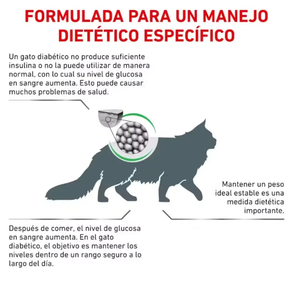 Royal Canin Diabetic Gato ROYAL CANIN