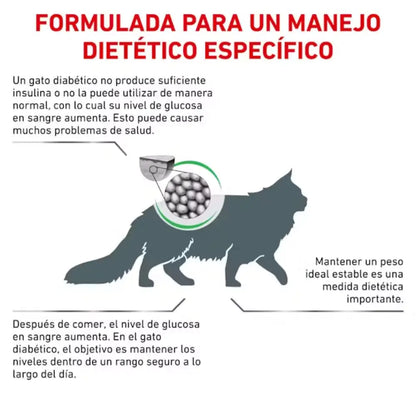 Royal Canin Diabetic Gato ROYAL CANIN