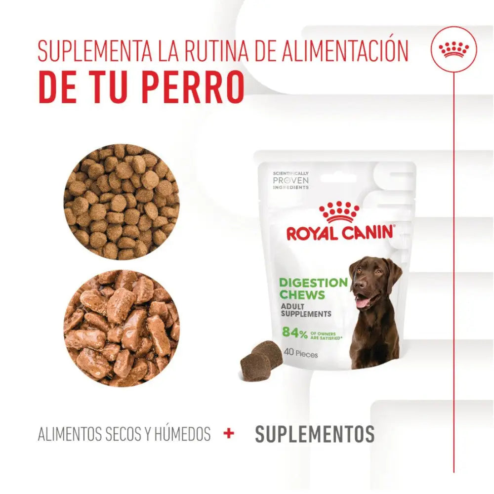 Royal Canin Digestive Support Chews 160 g Suplemento para Perros Adultos ROYAL CANIN