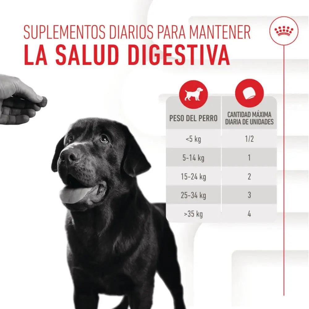 Royal Canin Digestive Support Chews 160 g Suplemento para Perros Adultos ROYAL CANIN