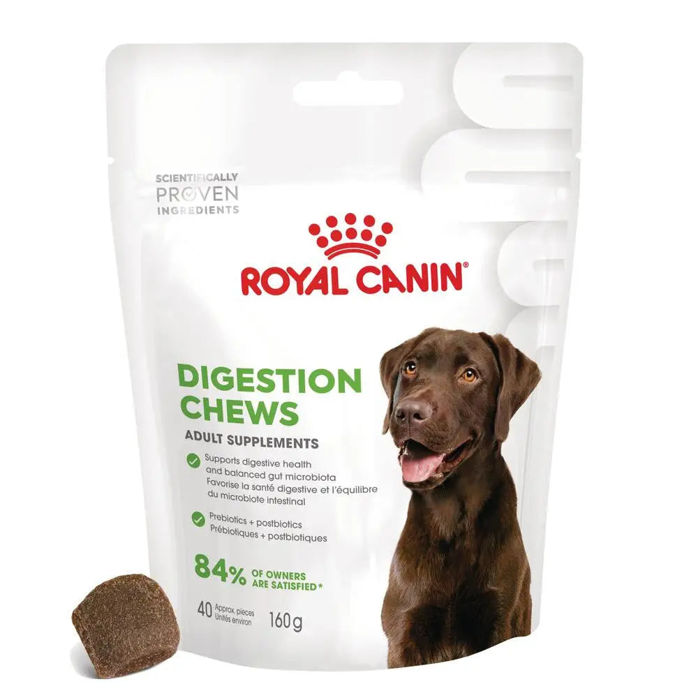 Royal Canin Digestive Support Chews 160 g Suplemento para Perros Adultos ROYAL CANIN