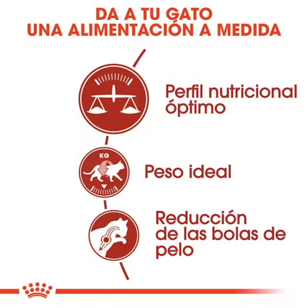 Royal Canin Fit 32 Pienso Seco para Gatos Adultos ROYAL CANIN Mascotas-Ávila