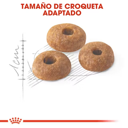 Royal Canin Fit 32 Pienso Seco para Gatos Adultos ROYAL CANIN Mascotas-Ávila