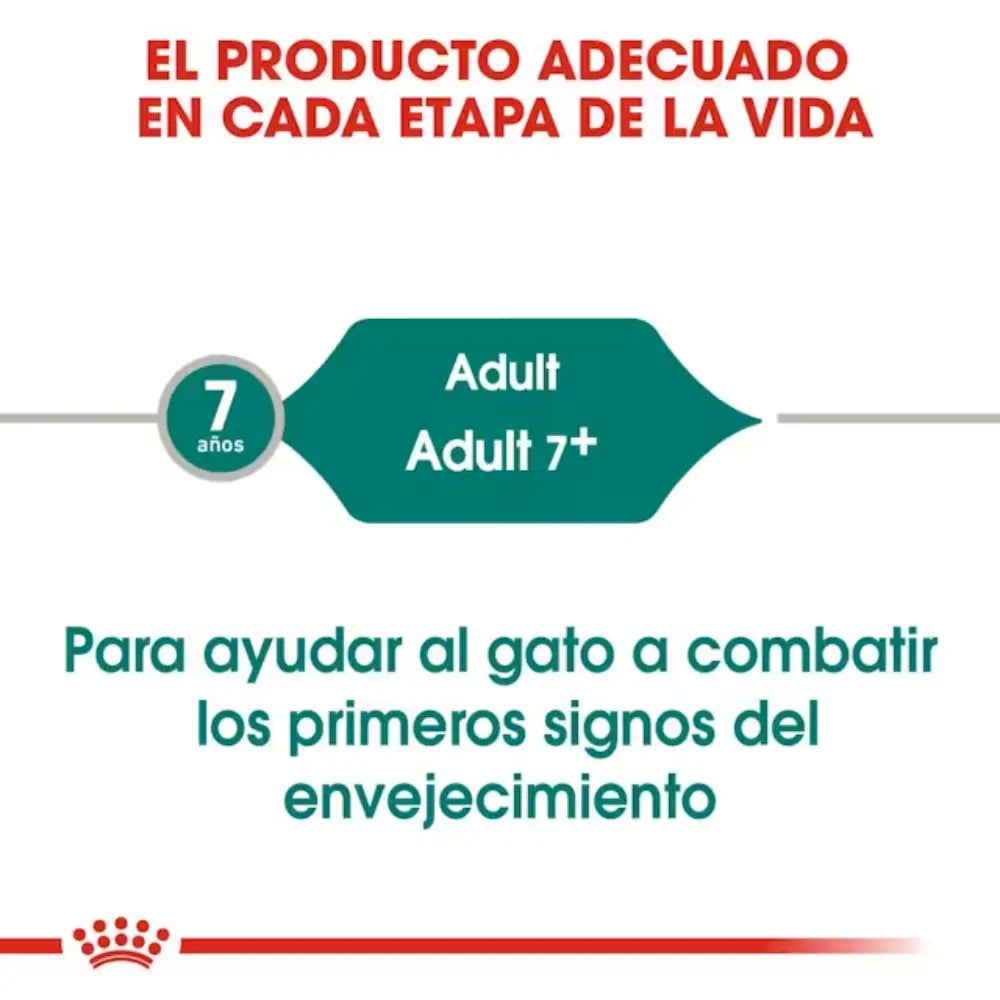 Royal Canin Instinctive +7 85 g húmedo Salsa Fhn ROYAL CANIN